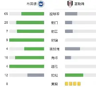 包含赛前布莱顿调整名单以备社区盾，回应争议环节打磨，目标明确，身体对抗强度拉满的词条